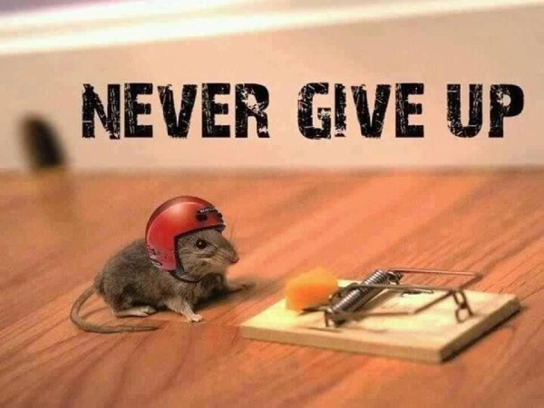 never give up